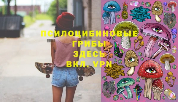 тгк Армянск