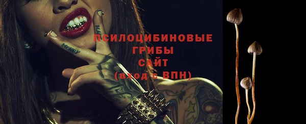 молекула духа Аркадак