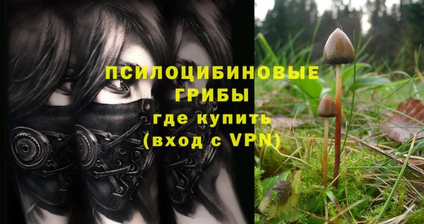 мяу мяу кристалл Арсеньев
