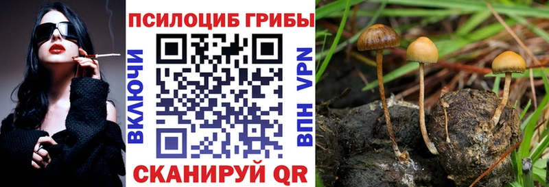 Псилоцибиновые грибы мухоморы  дарнет шоп  Жуков 